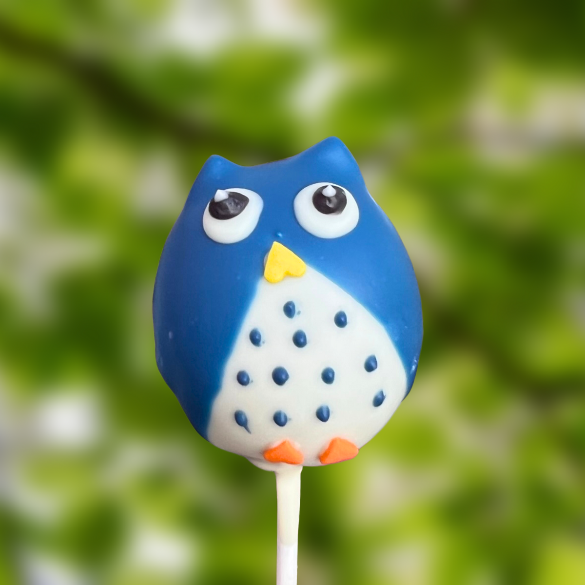 Owl Jumbo Cakepops Baked by Yael