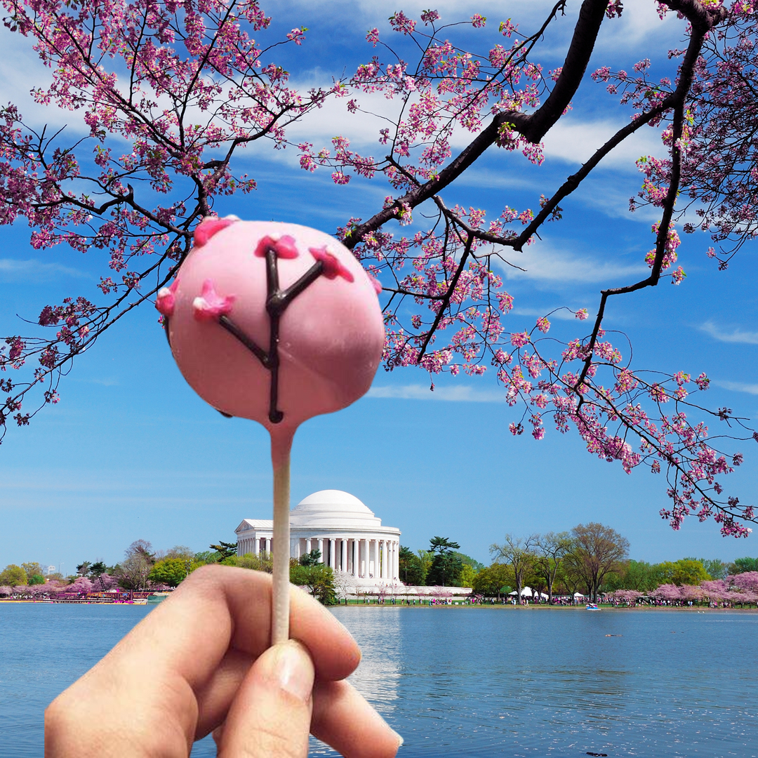 Cherry Blossom Pops – Baked by Yael